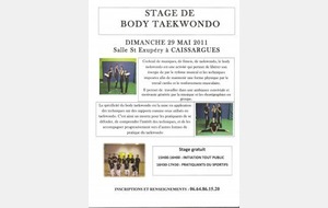 Stage BodyTaekwondo
