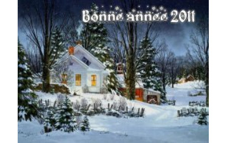 Bonne année