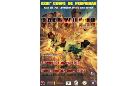 Coupe de Perpignan 2014